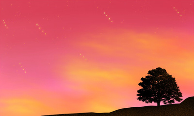 网络工程专业就业方向与前景分析 聚焦软件开发与应用