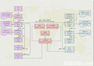 旺角工作机会聚焦 计算机软件开发与会计系统的职业前景