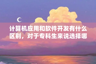 计算机软件开发与应用 专科生的职业选择与发展前景分析